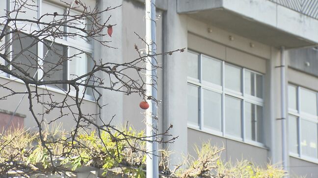 「自宅近くに出たのは心配」すぐ近くに中学校も…市街地でクマ目撃相次ぐ　福島|TBS NEWS DIG