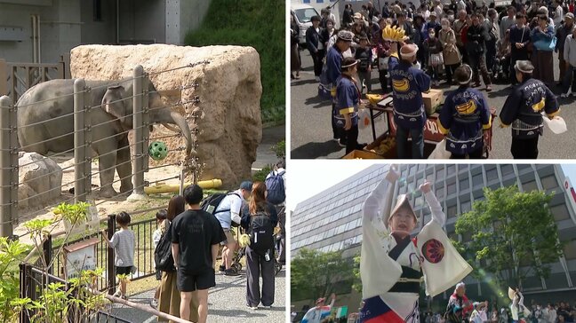 動植物園を無料で開放 名物「バナナのたたき売り」 どんたくパレード・・・みどりの日、福岡県内各地に賑わいと笑顔あふれる|TBS NEWS DIG
