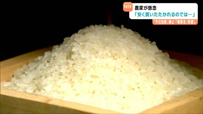 「安く買いたたかれる不安も」小泉大臣が要請“概算金”の廃止に賛否の声 そもそも概算金って何?|TBS NEWS DIG