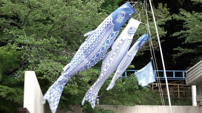 池田動物園に国連カラーの青いこいのぼり 6月20日は“世界難民の日” 子どもたちへの支援のきっかけに【岡山】|TBS NEWS DIG