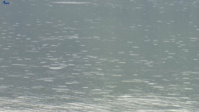 7月16日以来およそ3週間ぶりのまとまった雨 県内一部で警報級の大雨となるところも 岩手|TBS NEWS DIG