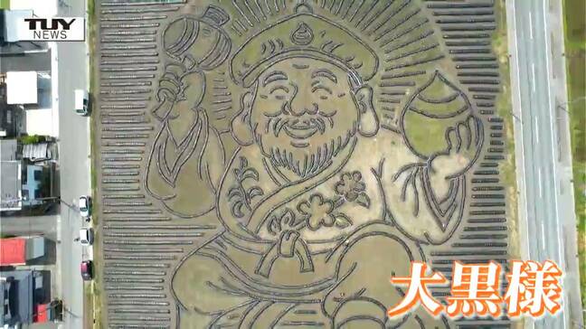 里芋畑に巨大な "大黒様" が出現?! 地上絵を通し山形の文化を世界中に発信! 今年ならではの特別な思いとは(山形市)|TBS NEWS DIG
