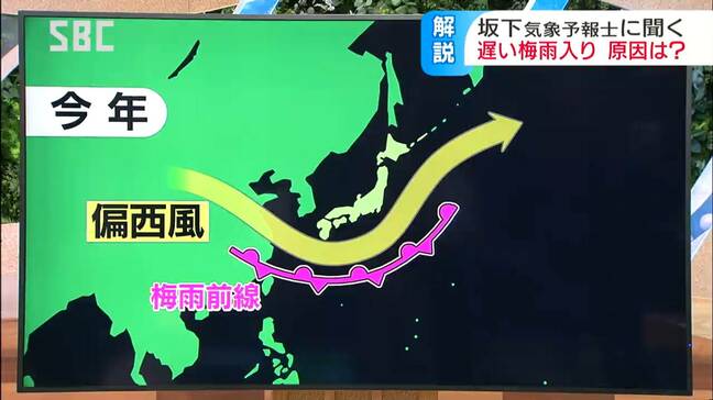 梅雨入り遅れたのはなぜ？梅雨明けは早いか遅いか？そして雨の量は？坂下気象予報士が解説|TBS NEWS DIG