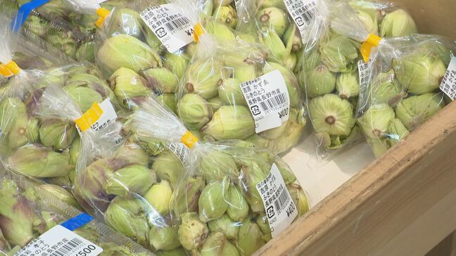 道の駅にフキノトウ 例年より1週間ほど早く採れ始める セリやノビルなどの山菜も 長野市|TBS NEWS DIG