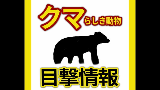 小学生が熊らしき動物を目撃した情報が２件相次ぐ　いずれも痕跡は確認されず　広島県呉市|TBS NEWS DIG