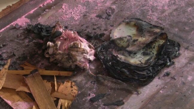 中学校で教室のロッカーなどが燃える火事 周辺に火の気はなく…出火原因を調べる 愛媛|TBS NEWS DIG