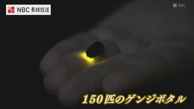 150匹のゲンジボタルが舞う　「災害の記憶を後世へ」願い込め|TBS NEWS DIG