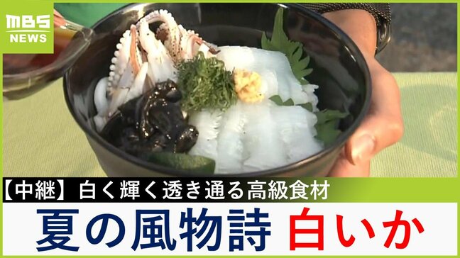 【中継】白く輝く夏の風物詩！ 「白いか」でやわらか食感に甘さ広がる絶品丼づくり　兵庫・新温泉町【川地洋平の最旬！丼マン】|TBS NEWS DIG