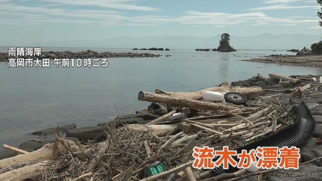 海越しの立山連峰で知られる “雨晴海岸” に…大量の流木やごみが漂着　能登豪雨によるものか　富山・高岡市|TBS NEWS DIG