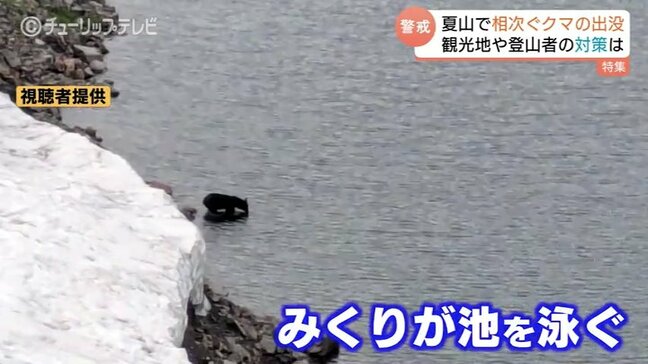 「人から逃げ隠れしないクマが増えてきた」2か月で27件…夏山で相次ぐクマの目撃情報　自治体はハンター配置など対策追われる　富山|TBS NEWS DIG