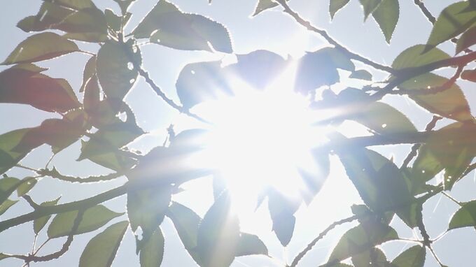 3日連続猛暑日の群馬　熱中症で90代女性死亡|TBS NEWS DIG