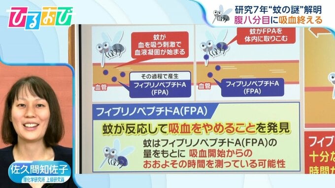 将来「蚊」に血を吸われなくなる！？『吸血をやめる物質』を発見した研究者に聞く【ひるおび】|TBS NEWS DIG