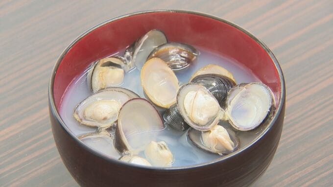 東京の人はシジミ汁のシジミの身を食べない？　あなたはどっち派？　「身を食べないということは我々漁師から言うと信じられない」宍道湖産のヤマトシジミは身の大きさが違う　島根県松江市|TBS NEWS DIG
