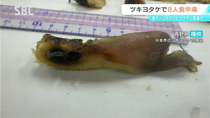 毒キノコ「ツキヨタケ」を誤って食べる　男女8人が食中毒　下伊那郡内の事業所　煮物やスープなどのキノコ料理でおう吐などの症状　全員が快方に向かう　|　SBC NEWS | 長野のニュース | SBC信越放送
