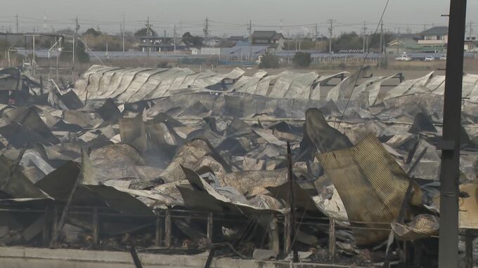 ブタ約2000頭が死ぬ 養豚場で火事… 木造平屋建ての豚舎4棟が全焼 愛知･西尾市|TBS NEWS DIG