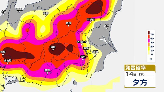 【関東甲信】14日も天気急変のおそれ…ゲリラ雷雨に注意　雨風と発雷確率のシミュレーション【東京・神奈川・埼玉・千葉・群馬・栃木・茨城・山梨・長野】|TBS NEWS DIG