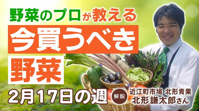 【今買うべき野菜は？】2/17の週 大根＆果菜類は今が買い！ほうれん草・春菊もお得！白菜は平年比の2.7倍の高値に　|　石川県のニュース｜MRO北陸放送