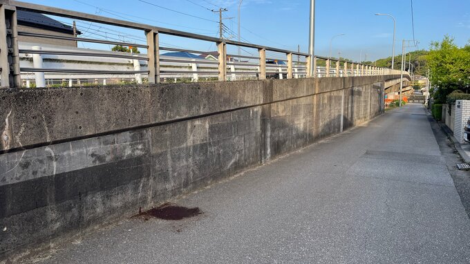 千葉県君津市でひき逃げか　高齢とみられる男性が意識不明の重体　現場にはライトカバーの破片とみられるレンズ片が散乱|TBS NEWS DIG