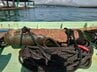 富山湾の定置網に不発弾か？庄川沖で長さ1.2メートルの物体引き揚げ　爆発の危険性低く住民避難なし　海上自衛隊が回収へ　|　富山のニュース｜天気・防災｜チューリップテレビ