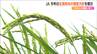 『令和の米騒動』を受けJAがコメ増産方針を生産者に説明　減反政策終了以降最大の56万トン超　新潟県　|　新潟のニュース・天気｜BSN NEWS｜BSN新潟放送