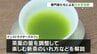日本茶の魅力を発信！県内の専門家が解説するカフェを開く　|　熊本のニュース｜RKK NEWS｜RKK熊本放送