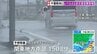 【台風情報】夕方から夜遅くにかけて関東地方に接近へ　鎌倉は臨時休業相次ぎ 千葉・南房総市や館山市などにレベル4土砂災害危険警報【台風7号】|TBS NEWS DIG