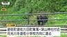 今朝もクマの目撃相次ぐ　小学校の方へ向かったクマも…保護者送迎で対応（山形）　|　山形のニュース│TUYテレビユー山形