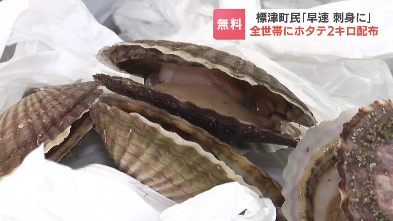 活ホタテ2キロ 標津町で恒例の全2300世帯に無料配布 「早速お刺身で