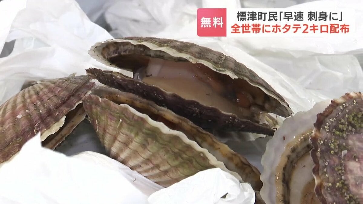 活ホタテ2キロ 標津町で恒例の全2300世帯に無料配布 「早速お刺身で