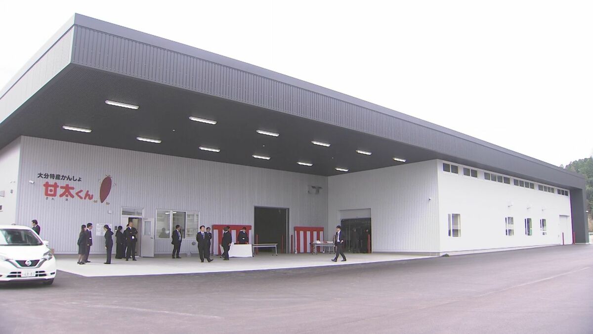 ブランドサツマイモ「甘太くん」安定出荷へ　広域選果場完成　大分・臼杵