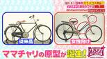 日本でだけママチャリが売れる理由 「ヤバい!」と思ったメーカーが行った“3つの改良”【がっちりマンデー!!】|TBS NEWS DIG