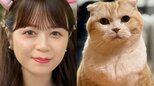 【 ねこ 】山内彩加さん　16歳の愛猫・ちゃっぴー “よく吐く” 　心配も「空腹で吐いてます」診断受けて “夜食モリモリ” |TBS NEWS DIG