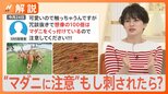 意外に身近“マダニ生息地” 夏のレジャーに注意!刺されたらどうする?【Nスタ解説】|TBS NEWS DIG