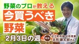 【今買うべき野菜は？】2/3の週 トマト・ナスなど果菜類は比較的安価 キャベツ・白菜は高値が続く|TBS NEWS DIG