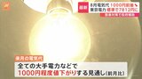来月使用分の電気代 1000円程度値下がりへ 政府補助金再開で|TBS NEWS DIG