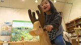 木のおもちゃで森林への理解深める 岩手・金ケ崎町の施設がリニューアルオープン|TBS NEWS DIG