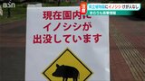 「慌てず、ゆっくり、距離を取って」イノシシ出没で植物園の屋外散策コースに利用制限|TBS NEWS DIG