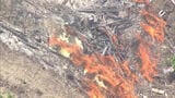 「草刈り機を置いたら発火した」福岡県久留米市で山林火災 消防車8台とヘリコプターが出動|TBS NEWS DIG