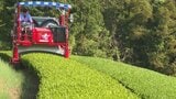 新茶の収穫始まる 5月1日の「八十八夜」を前に 大分・宇佐市 | 大分のニュース|OBS NEWS|大分放送