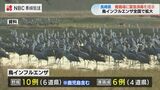 "例年にない速さで拡大" 鳥インフル防疫対策会議で緊急消毒指示【長崎】 | 長崎のニュース | 天気 | NBC長崎放送