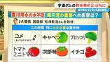 【深刻】宇連ダムの貯水量 去年も今年も｢9月｣に激減…愛知･豊川用水で節水強化 この先どうなる？　|　名古屋・愛知・岐阜・三重のニュース【CBC news】 | CBC web