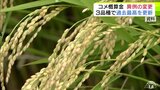 【詳報】“異例の変更”コメの「生産者概算金」JA全農あおもりが目安額の変更を発表 「はれわたり」「まっしぐら」3万円 「青天の霹靂」は生産者手取り額が3万4000円程度の見込み 3品種で過去最高更新|TBS NEWS DIG