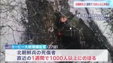 北朝鮮兵1000人以上死傷か 米高官が非難「北朝鮮兵を消耗品扱い」|TBS NEWS DIG