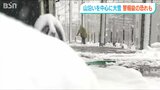 16日未明から昼前にかけては交通障害にも注意警戒 新潟県山沿いを中心に警報級大雪の恐れも|TBS NEWS DIG