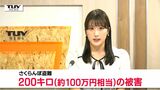 被害は約200キロ、約100万円相当に...収穫間近のさくらんぼが畑から盗まれる 盗難被害確認は今シーズン3件目(山形・上山市) | 山形のニュース│TUYテレビユー山形
