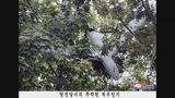 北朝鮮にドローン飛ばして挑発か 韓国・特別検察官が軍部隊などを家宅捜索|TBS NEWS DIG