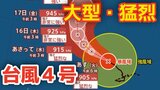 【大型で猛烈】「台風4号」最大瞬間風速は85メートル 　17日（金）には小笠原近海予想　気になる今後の進路は？13日（月）～18日（土）雨風シミュレーション【気象庁台風情報 13日午前9時更新】|TBS NEWS DIG