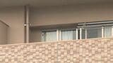 「弟の腹部を刺した」82歳の男を殺人容疑で逮捕　弟（68）を刃物で殺害か　自分の腹も刺して入院「私がやった」容疑認める　広島　|　RCC NEWS | 広島ニュース | RCC中国放送