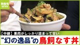 生産農家は４軒！？"幻のなす"とも呼ばれる『鳥飼なす』を使った絶品丼　大阪・摂津市鳥飼地区【川地洋平の最旬！丼マン】|TBS NEWS DIG