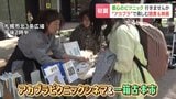ピクニック気分で古本市へ…木陰でゆっくり読書⇒夜は野外映画館に、200インチのスクリーンを寝ころびながら『アカプラピクニックシネマ&一箱古本市』 | 北海道のニュース|HBC北海道放送
